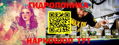 СК Кингисепп
