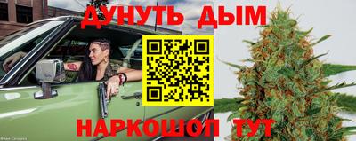 шишки Кинель
