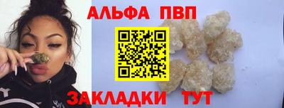 СК Кингисепп