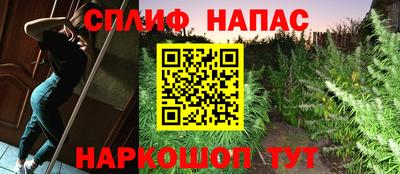 шишки Кинель