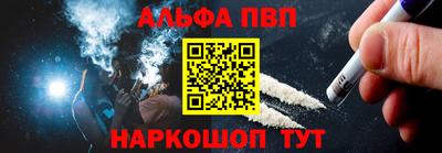 СК Кингисепп