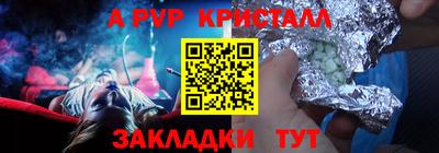 СК Кингисепп