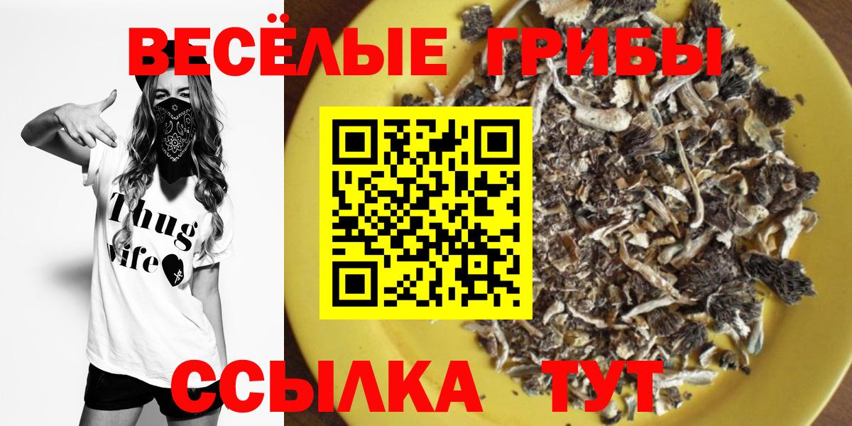 Усть-Лабинск  Галлюциногенные грибы мицелий  Вход с VPN 